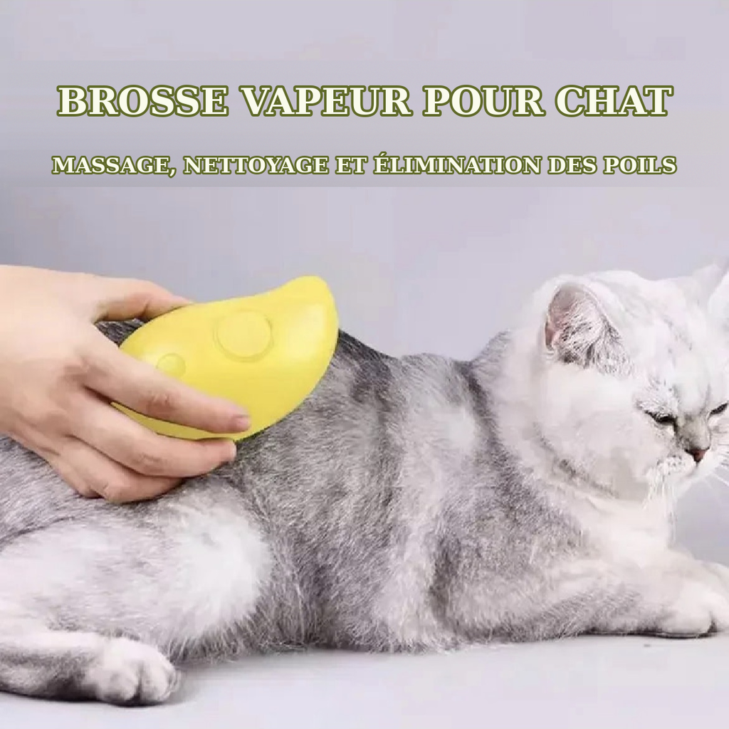 Kit de Toilettage pour Chiens et Chats Brosses Anti-Poils, Massage et Soin du Pelage