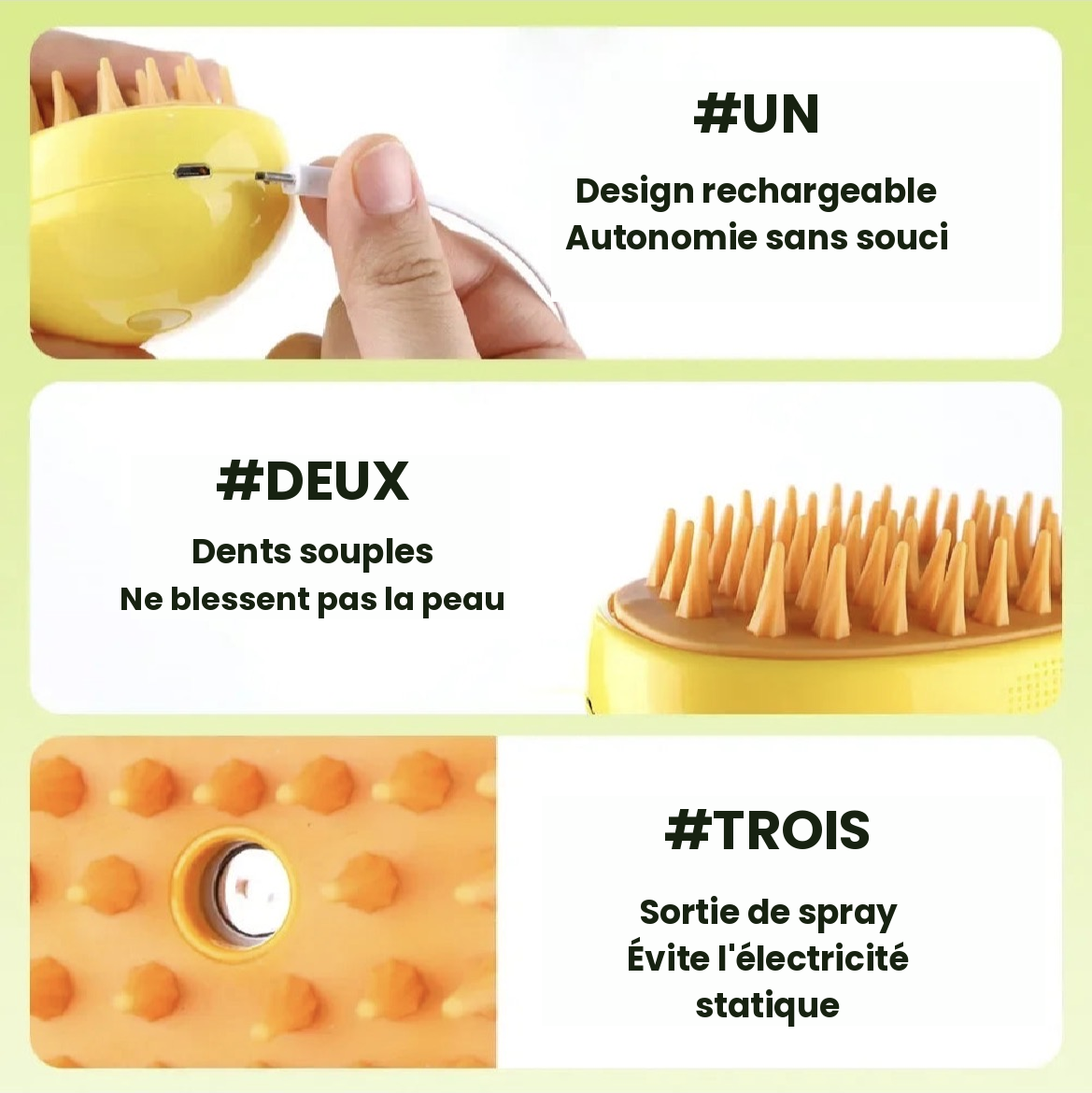Kit de Toilettage pour Chiens et Chats Brosses Anti-Poils, Massage et Soin du Pelage