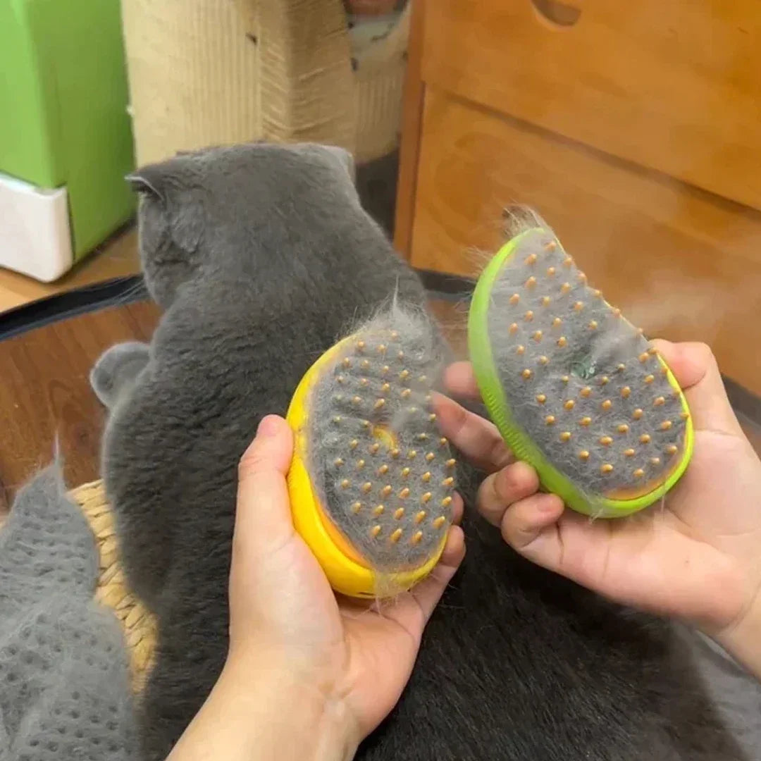 Kit de Toilettage pour Chiens et Chats Brosses Anti-Poils, Massage et Soin du Pelage
